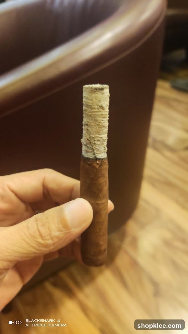 Cigar held in hand