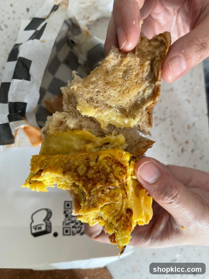 Cheese Sandwich Break