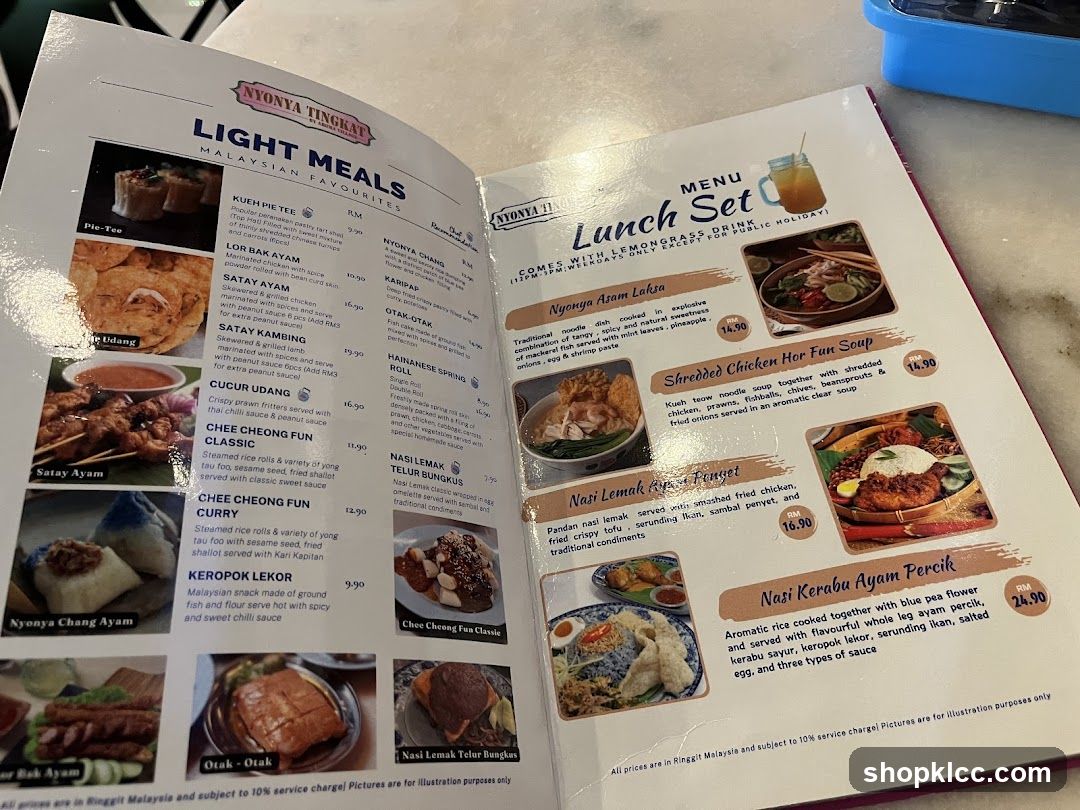 NYONYA TINGKAT LIGHT MEALS MALAYSIAN FAVOURITES