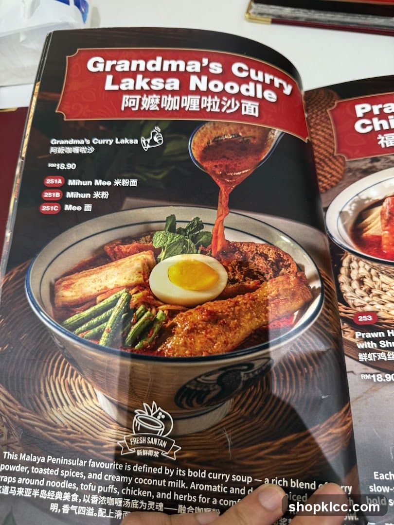 Grandma's Curry Laksa Noodle