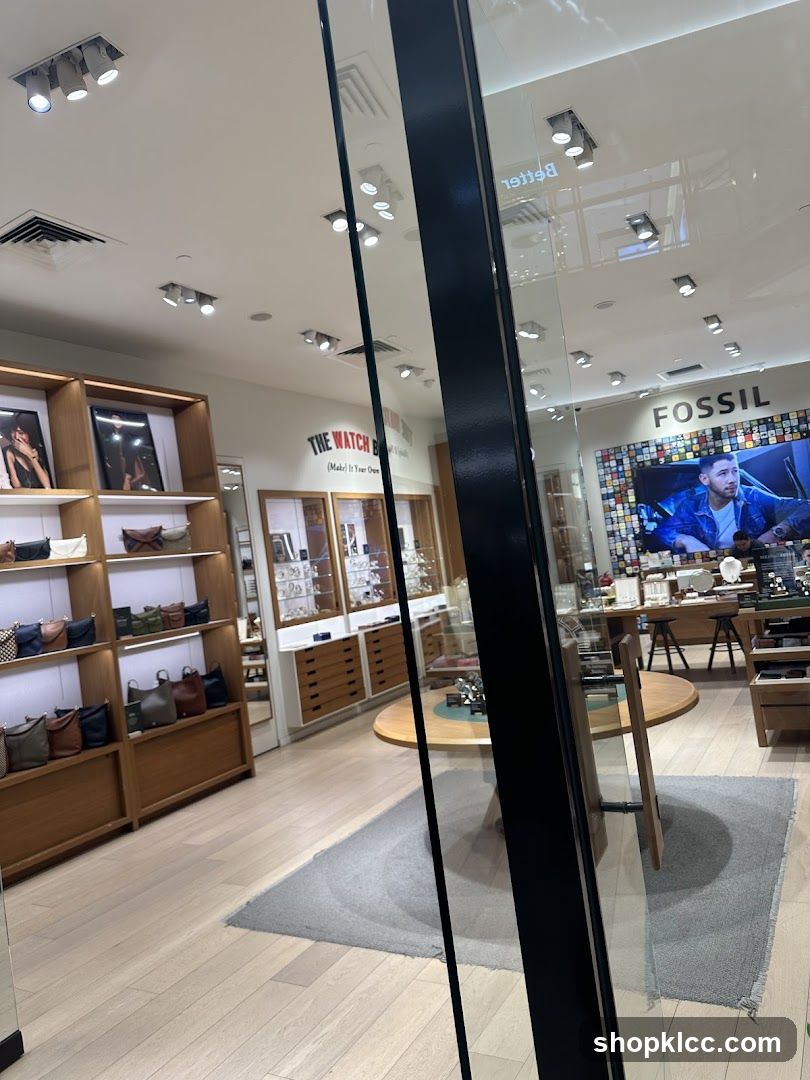 Fossil Store Interior