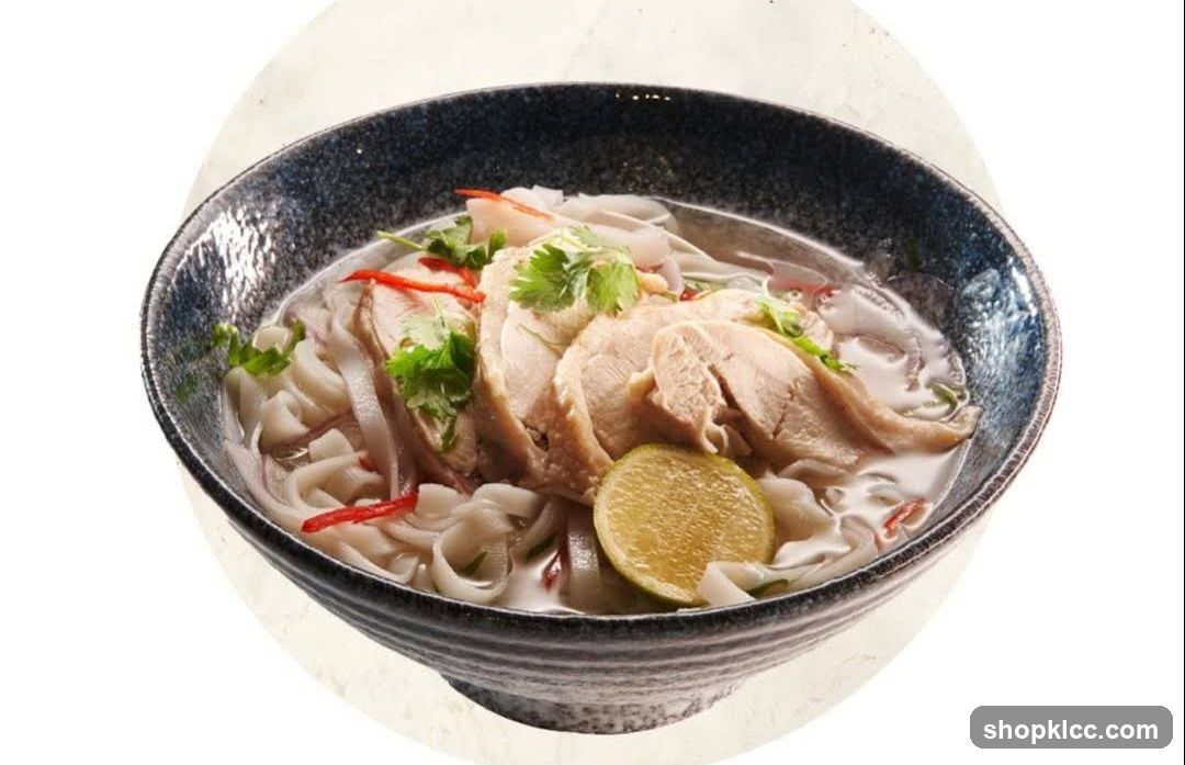 Chicken Noodle Soup