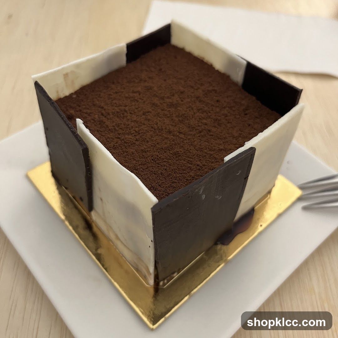 Chocolate Tiramisu Cake