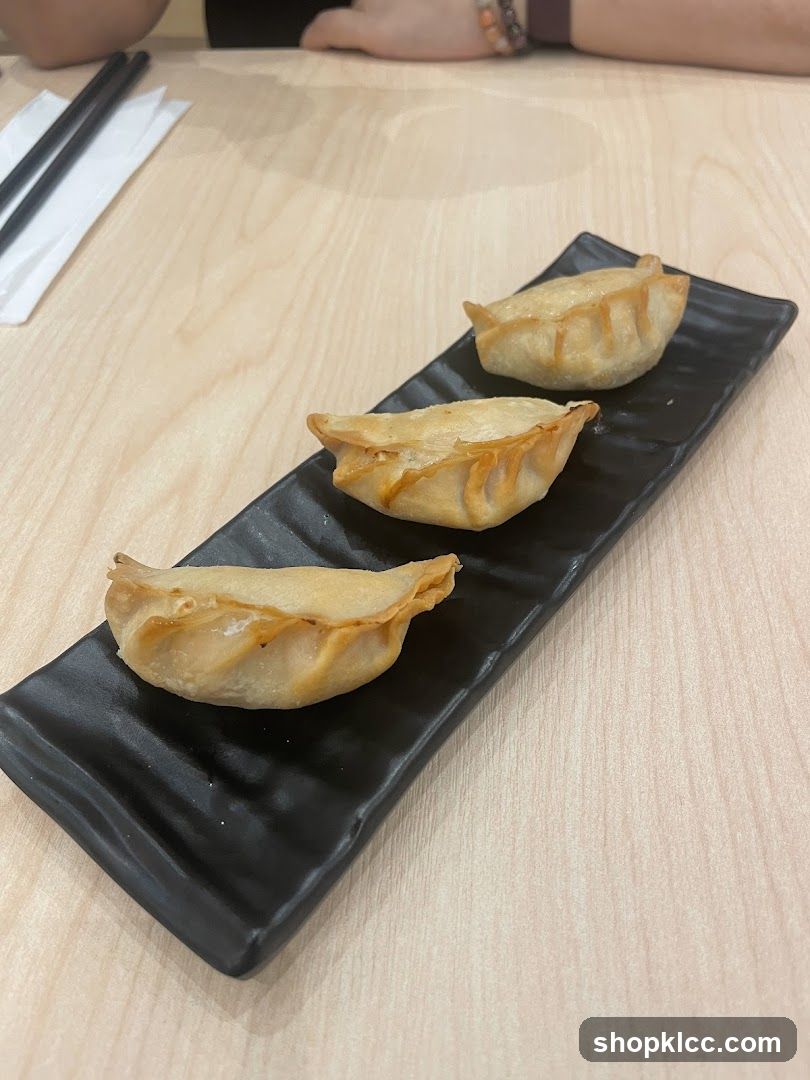 Fried Dumplings