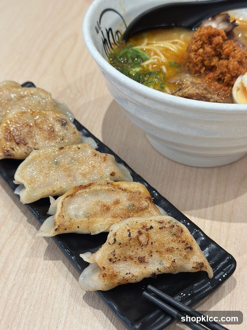 Gyoza and Ramen