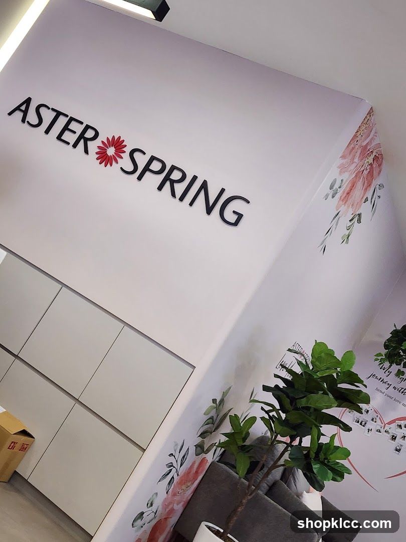 Aster Spring Interior