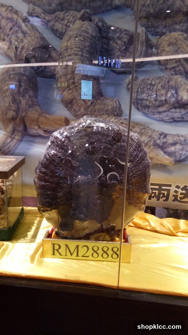 Large Dried Reishi Mushroom Display