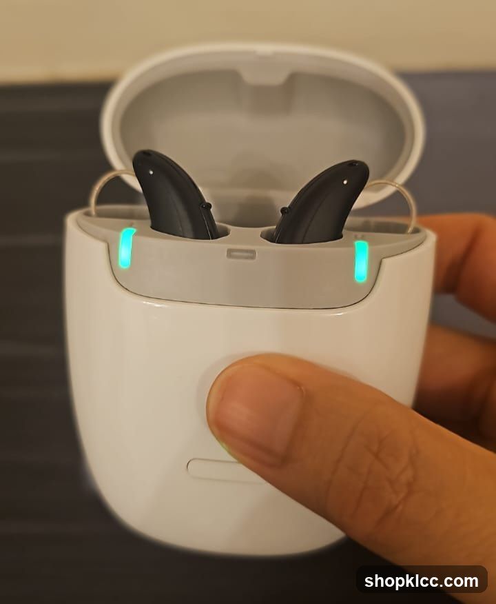 Hearing Aids in Charging Case