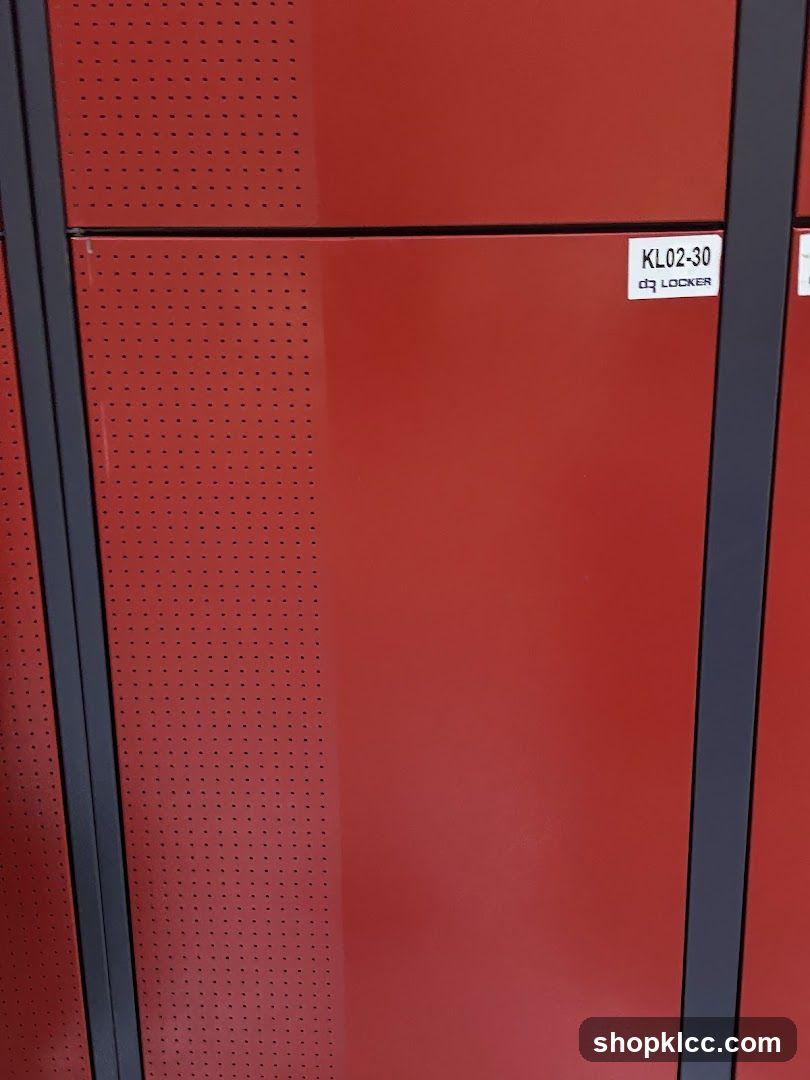 Luggage Locker for Tourists