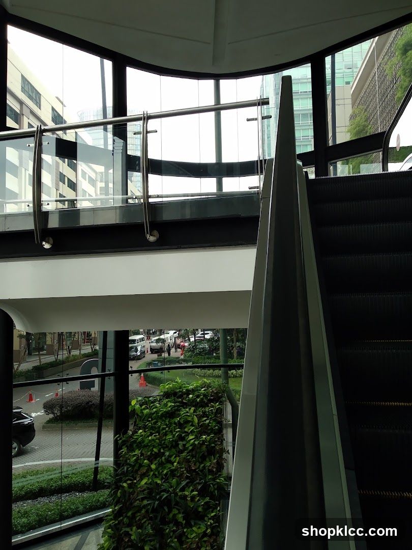 Modern Escalator and Outdoor View
