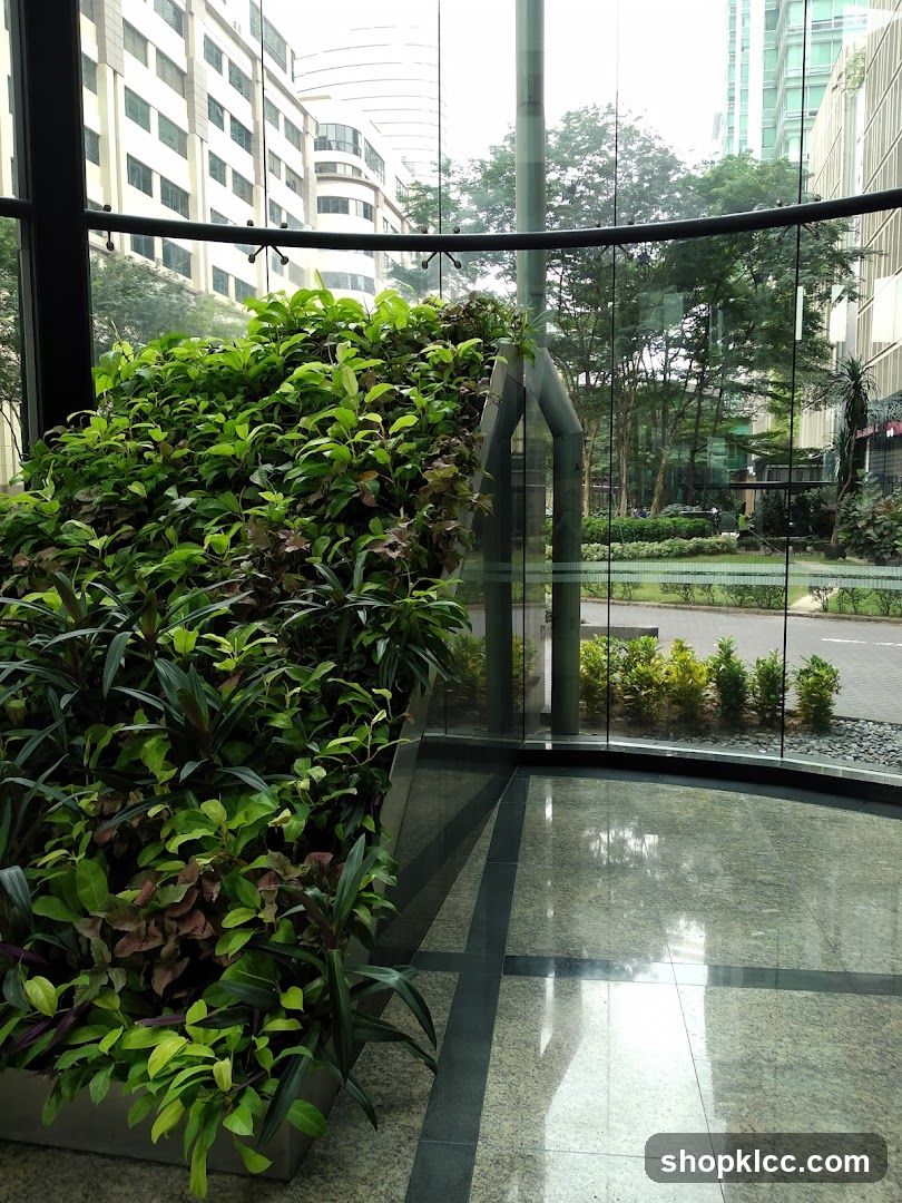 Indoor plants and city view