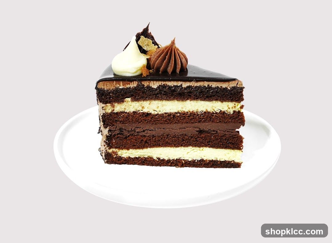 Slice of Chocolate Cake