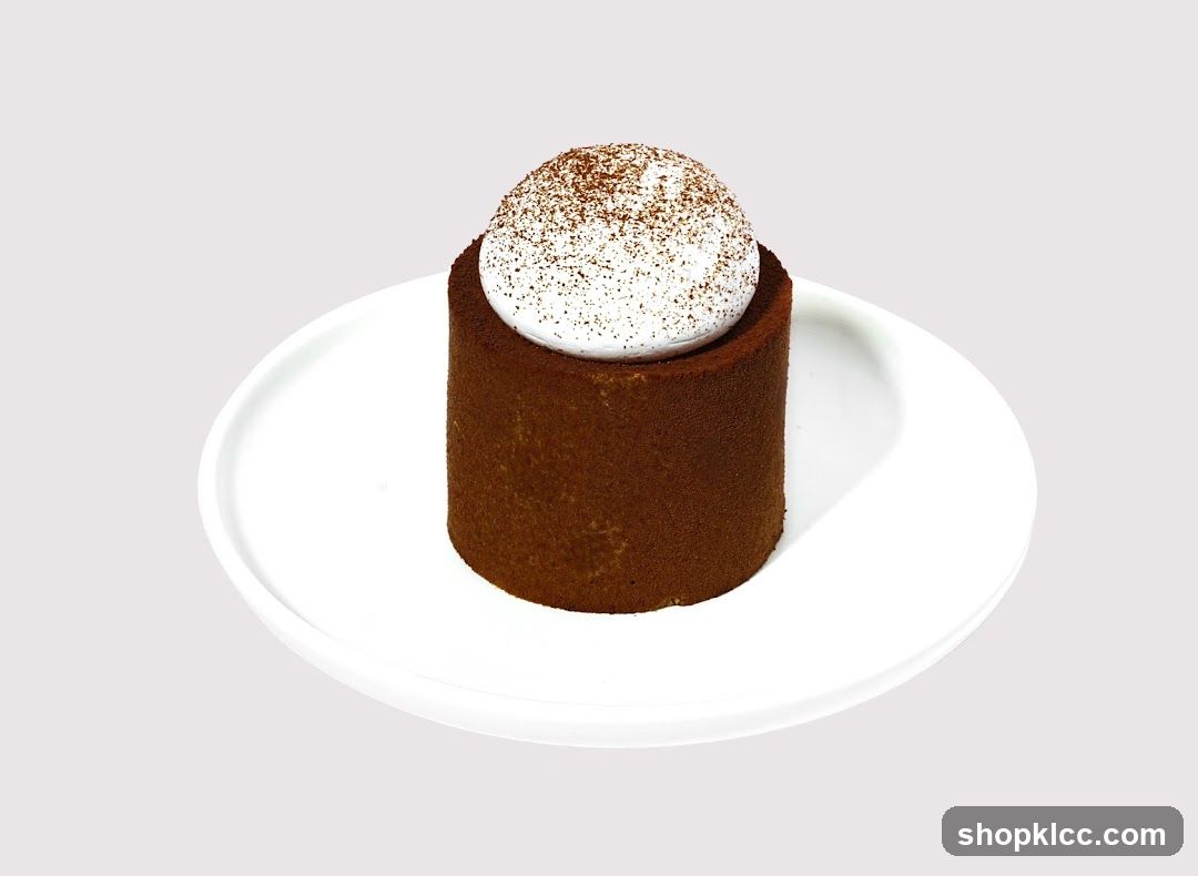 Chocolate Mousse Cake