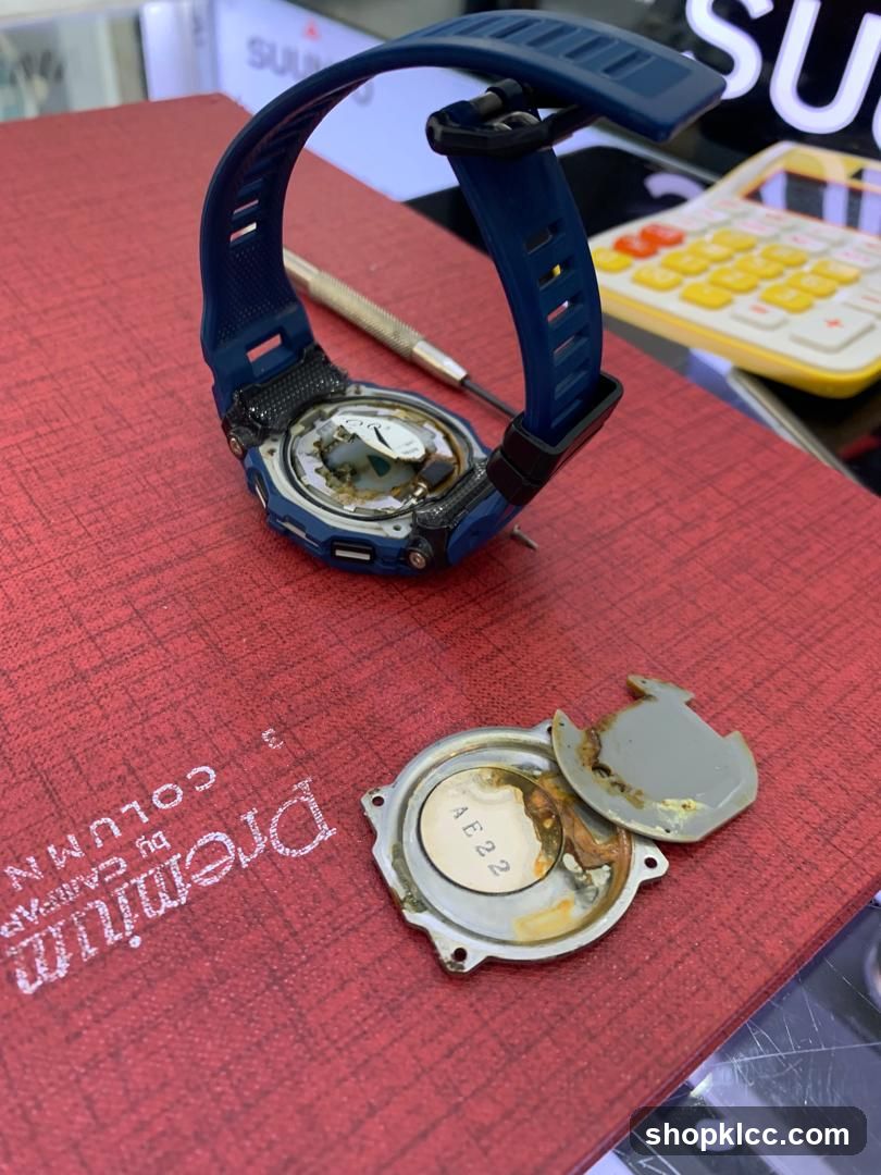 Style Watch