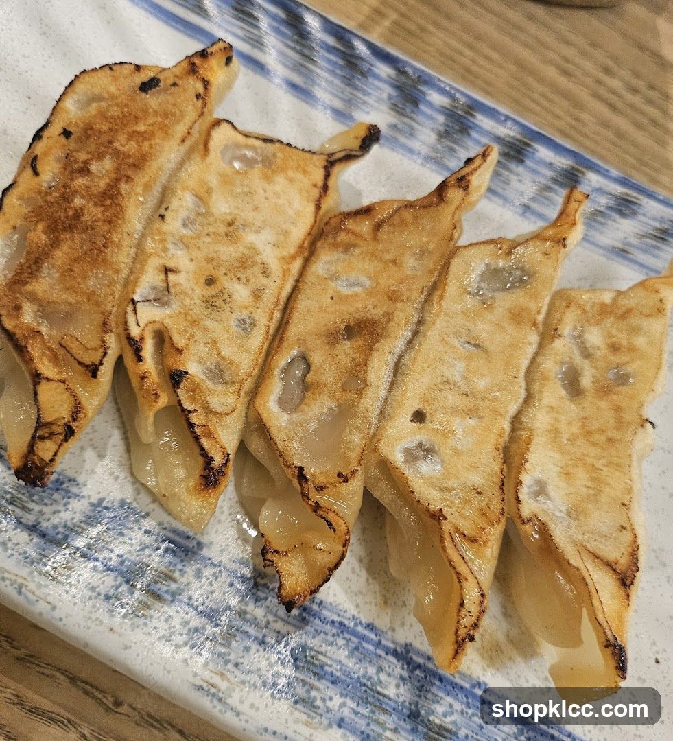 Gyoza on a ceramic plate