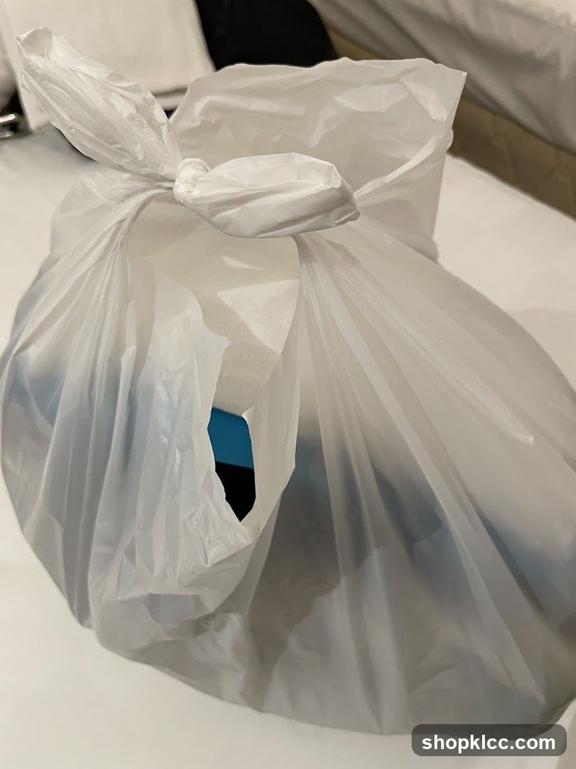 Takeout Bag