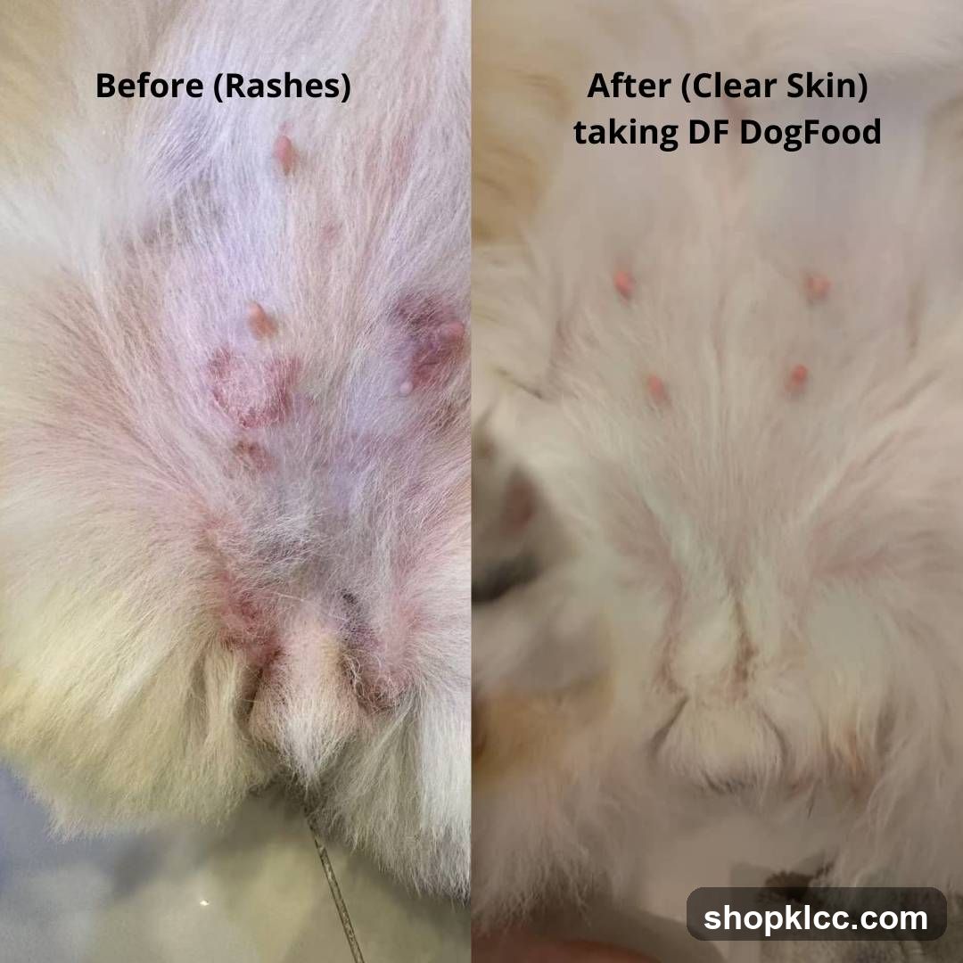 Dog Skin Condition Comparison