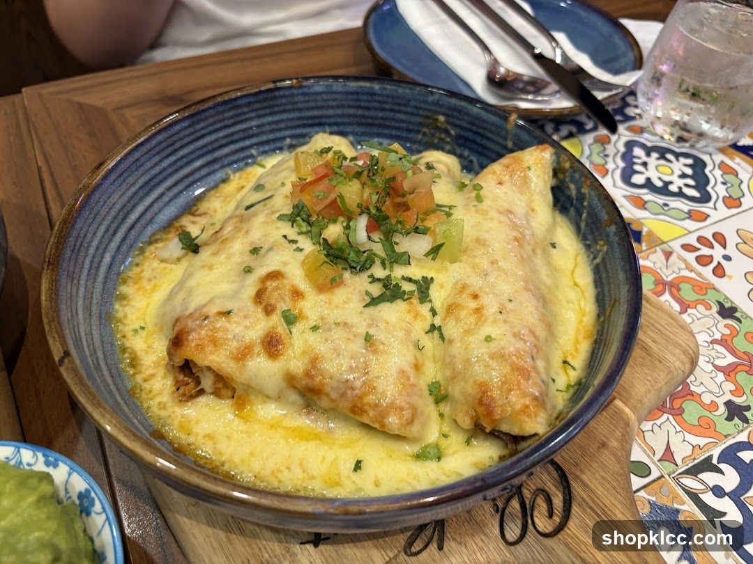 Enchiladas with Cheese and Salsa
