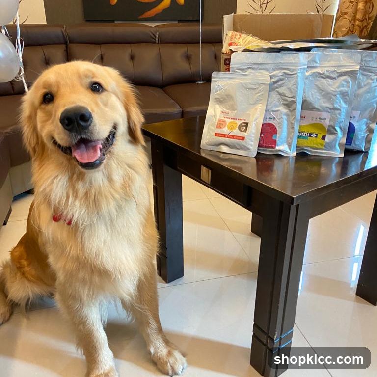Golden Retriever with Dog Treats