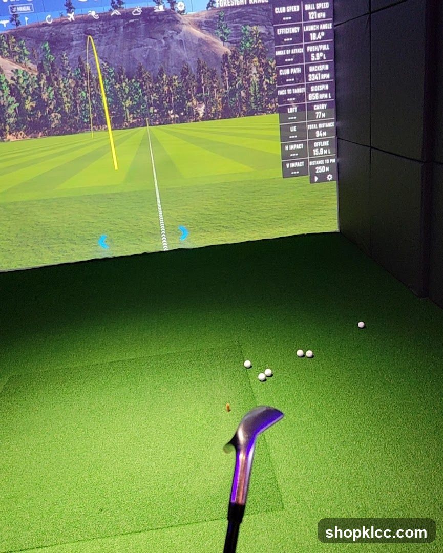 Golf Simulator Screen