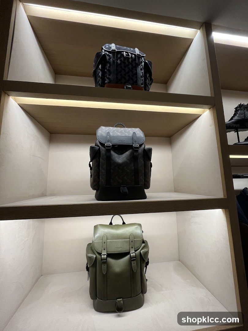 Backpacks on Display