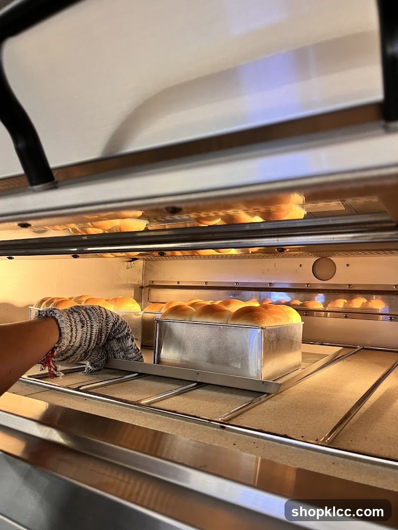 Baking in Progress