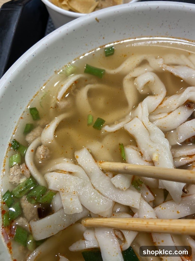 Bowl of Noodle Soup with Green Onions