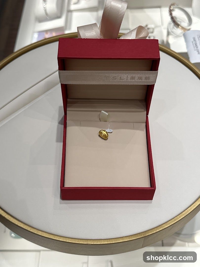 Jewelry Box with Charm