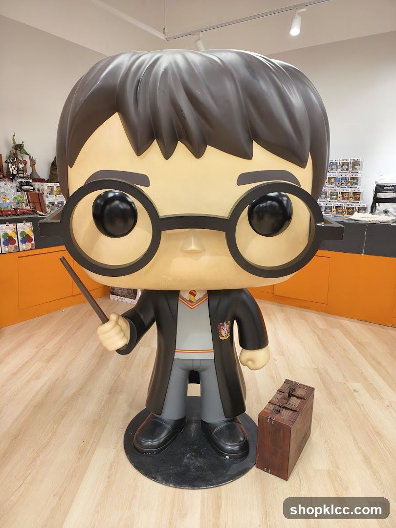Harry Potter Funko Pop Display