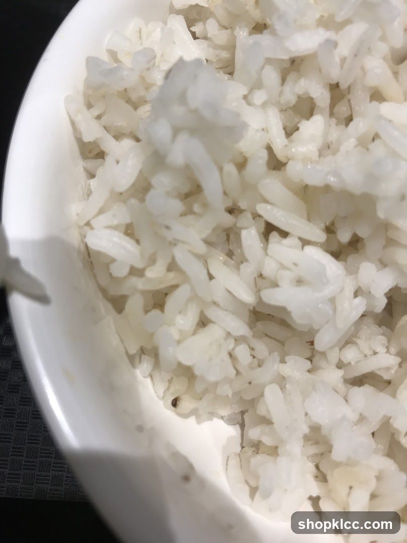 Bowl of White Rice