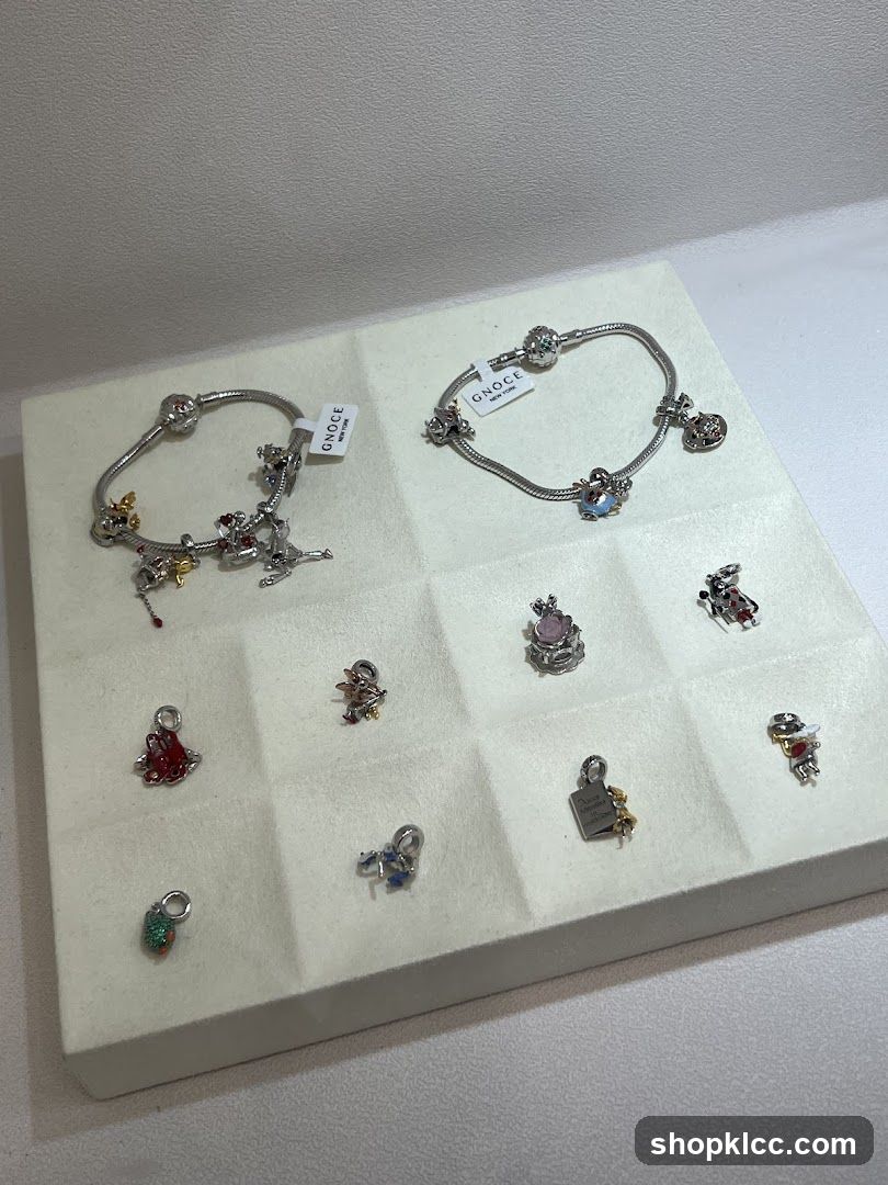 Bracelets and Charms