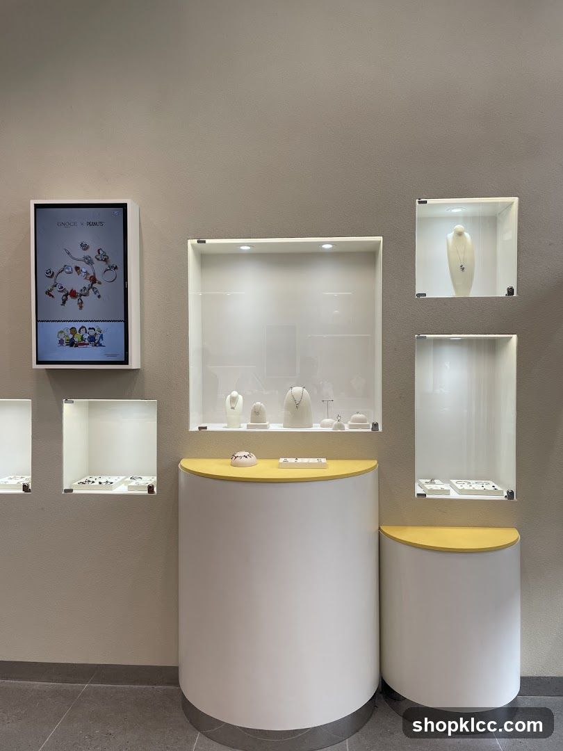Jewelry Display