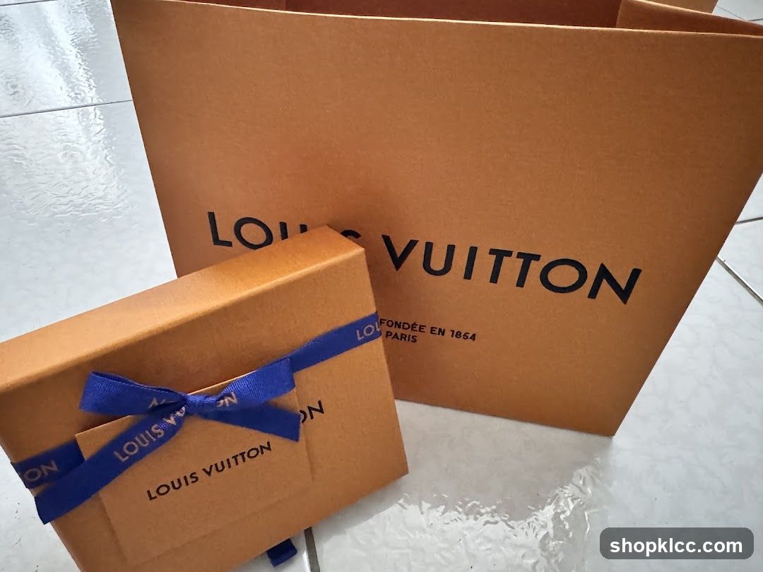 Louis Vuitton Shopping Bag and Gift Box