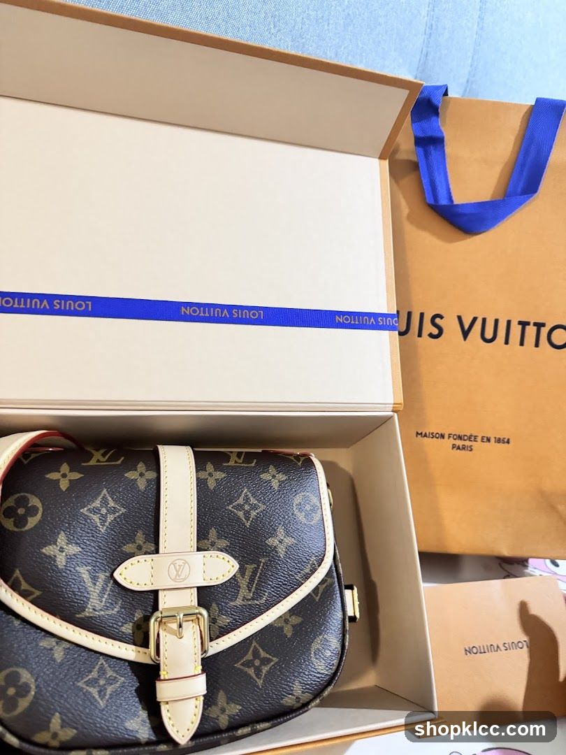 Louis Vuitton Bag and Packaging