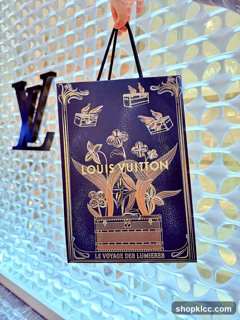 Louis Vuitton Gift Bag