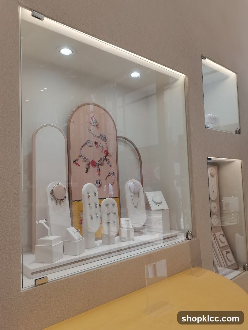 Jewelry Display Case