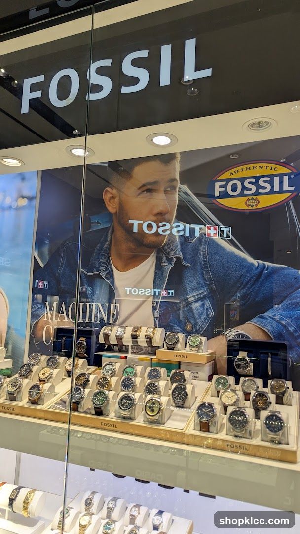 Fossil Watch Display