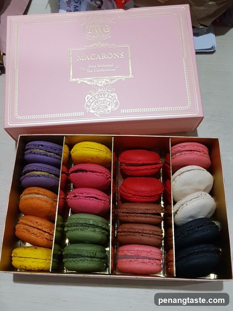 Box of Macarons