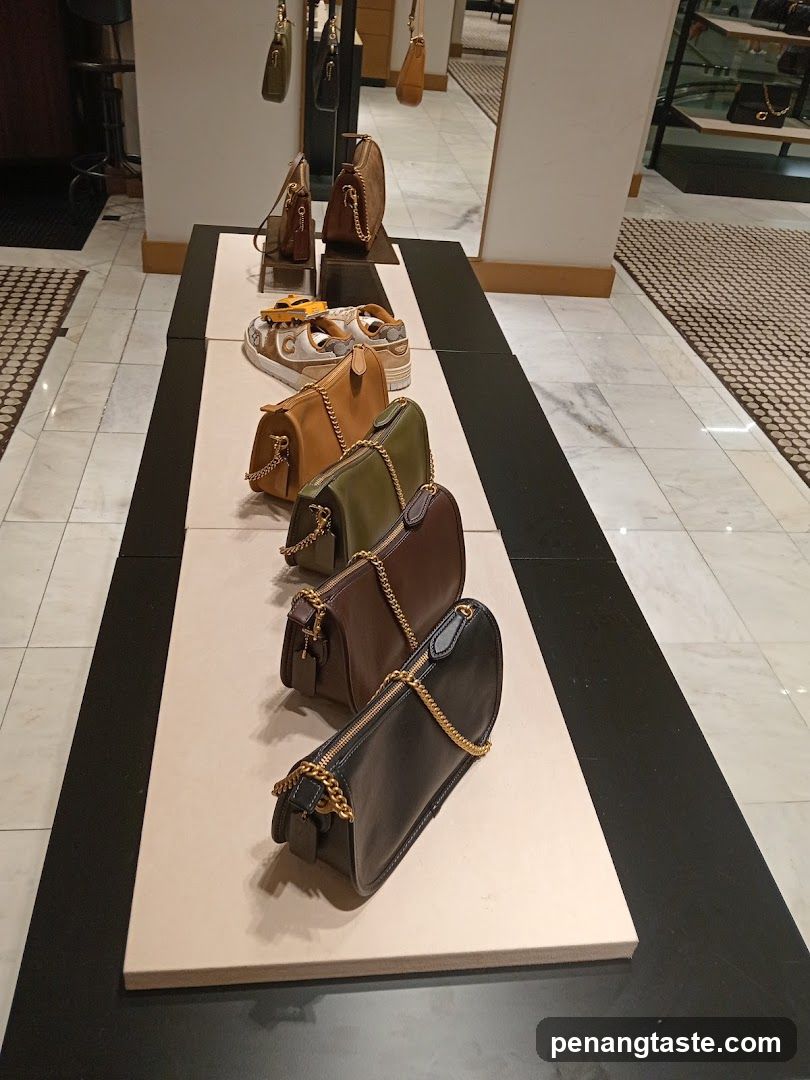 Handbags and Shoes Display