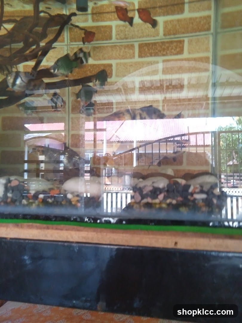 Fish Tank with Tropical Fish