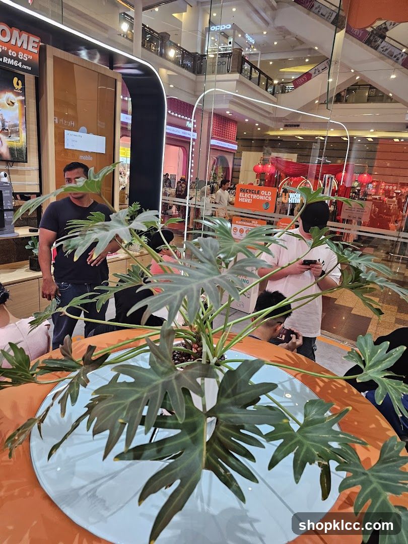 Indoor plant display in a mall