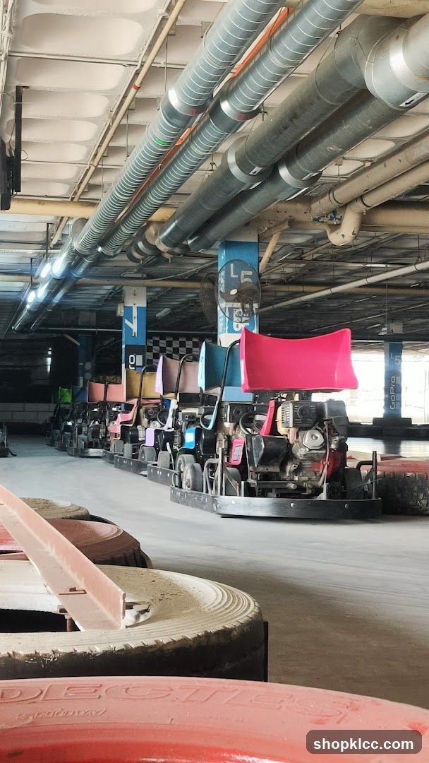 Go-Karts Lined Up