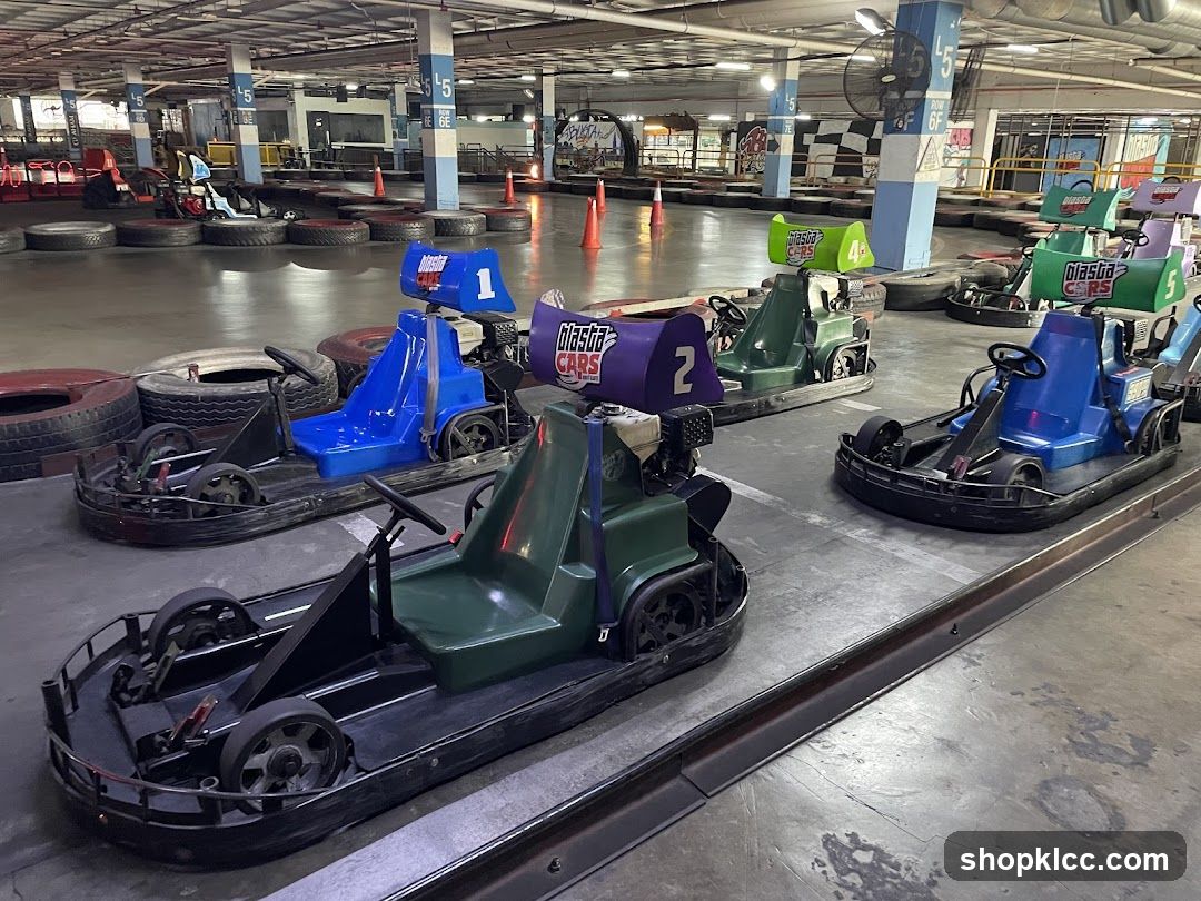 Go-Karts Lined Up on Track