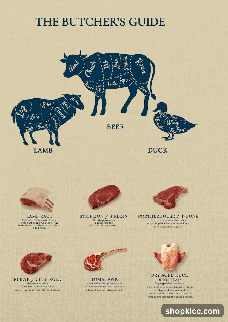 The Butcher's Guide