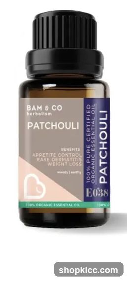Bam & CO