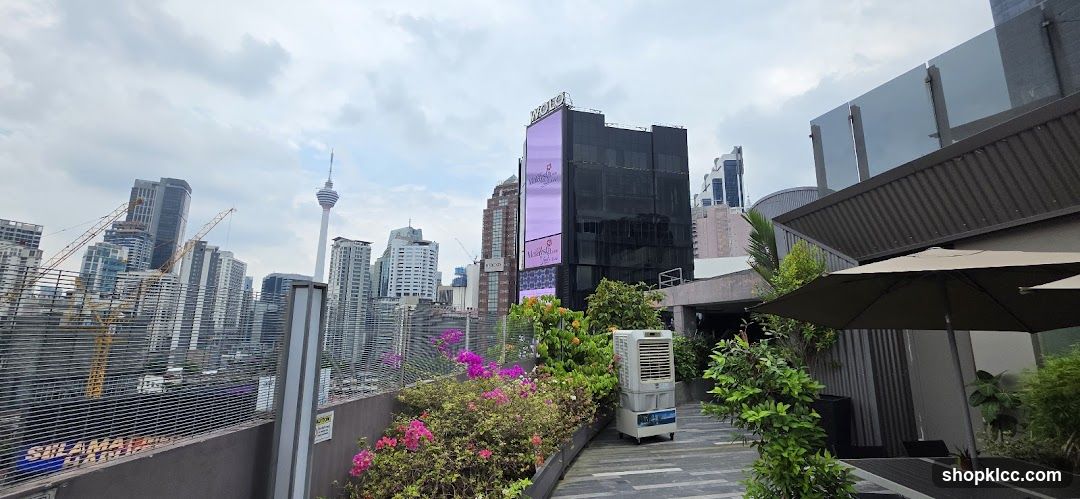 Rooftop View of Cityscape with Greenery