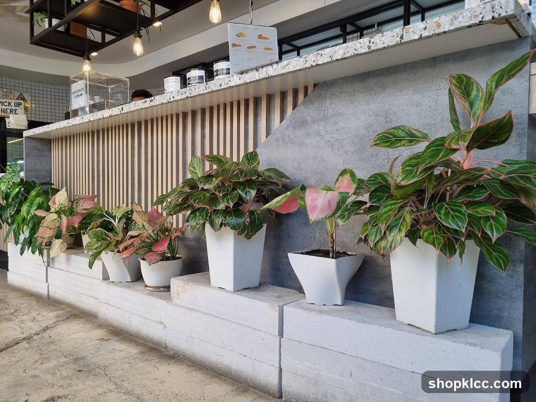Counter with plants