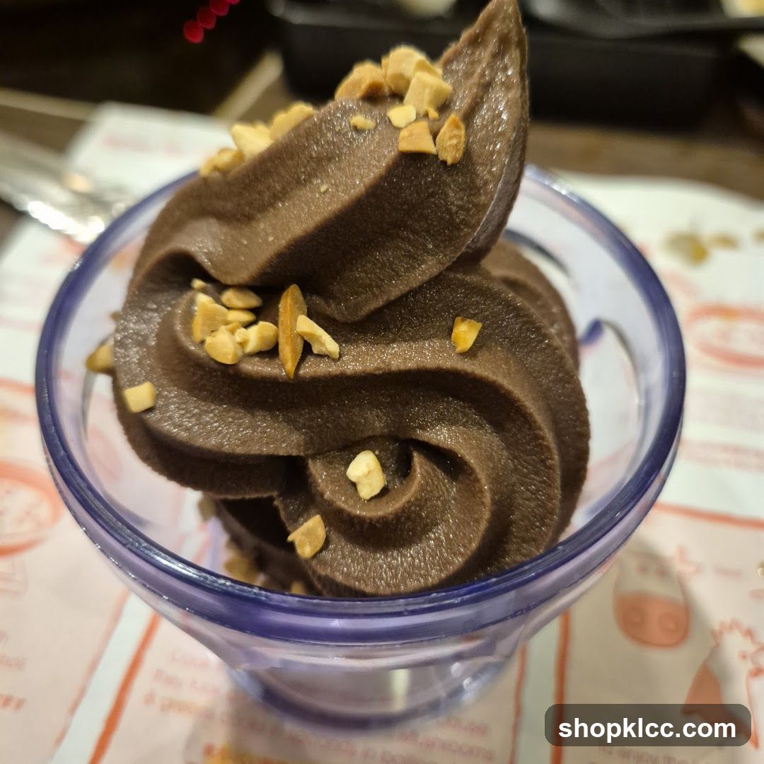 Chocolate Soft Serve Ice Cream with Peanuts