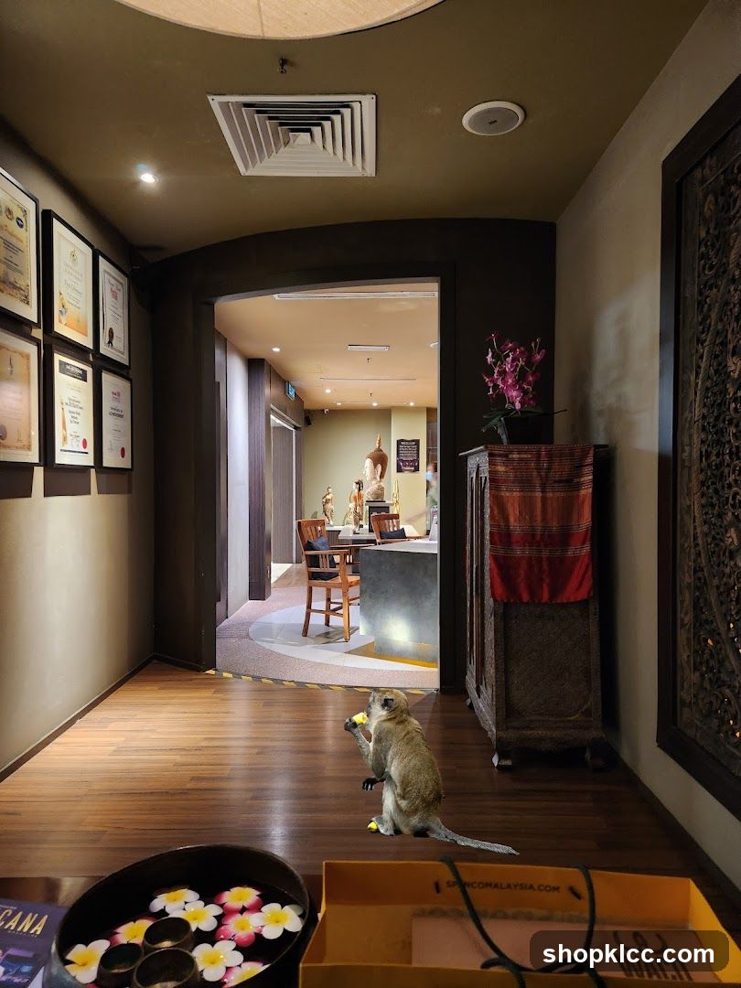 Spa Interior with Monkey