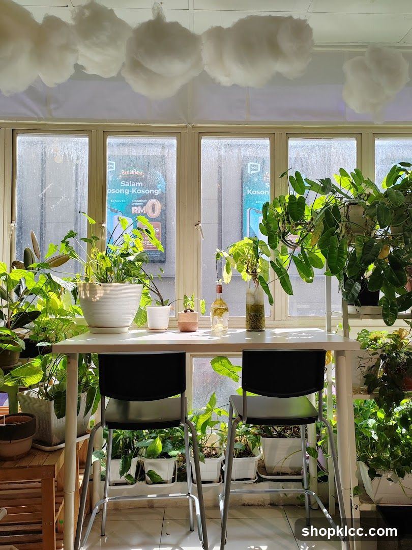 Indoor plant display with table and chairs